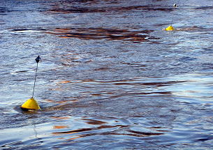 Aids to Navigation — guiding mariners safely to their destination